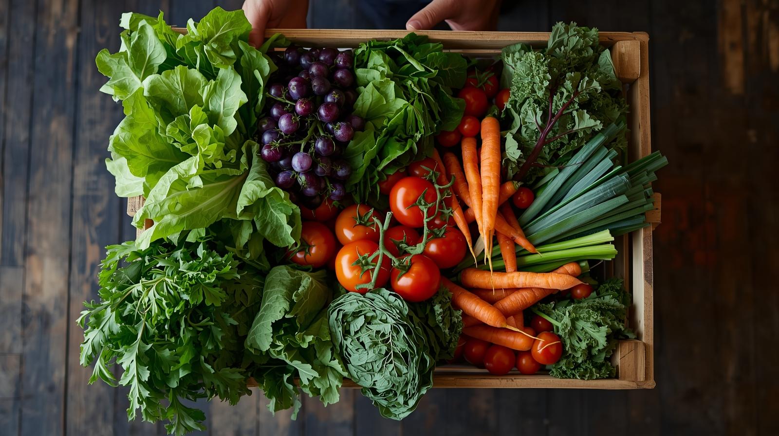 宅配された野菜